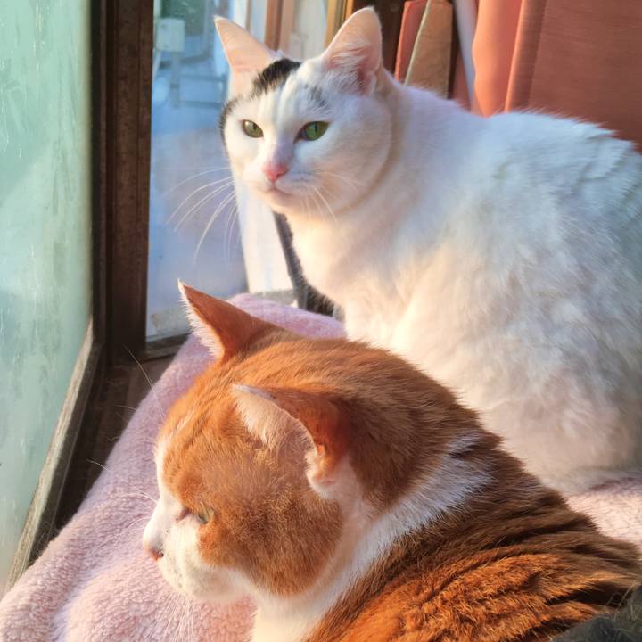 89943545 551c 41f5 9f5d 4a52ec003c83 1575859821802