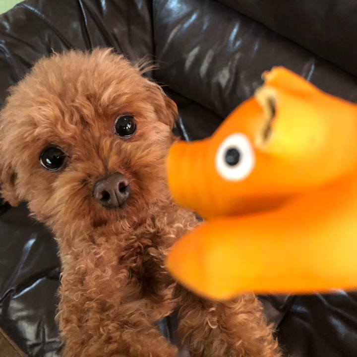 899437af dede 4fad 828a 45510865cb35 1557663426031