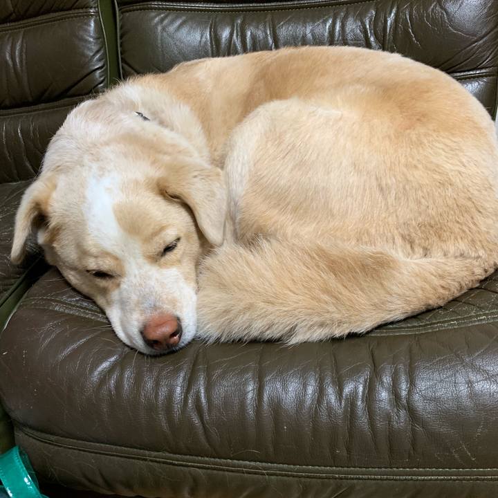 899439e1 d933 4b5f bba5 c8ad3e8c2e01 1551450522318