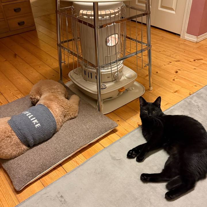 89948f48 f913 4e2d bd4f 0128f6d463e2 1769083817791