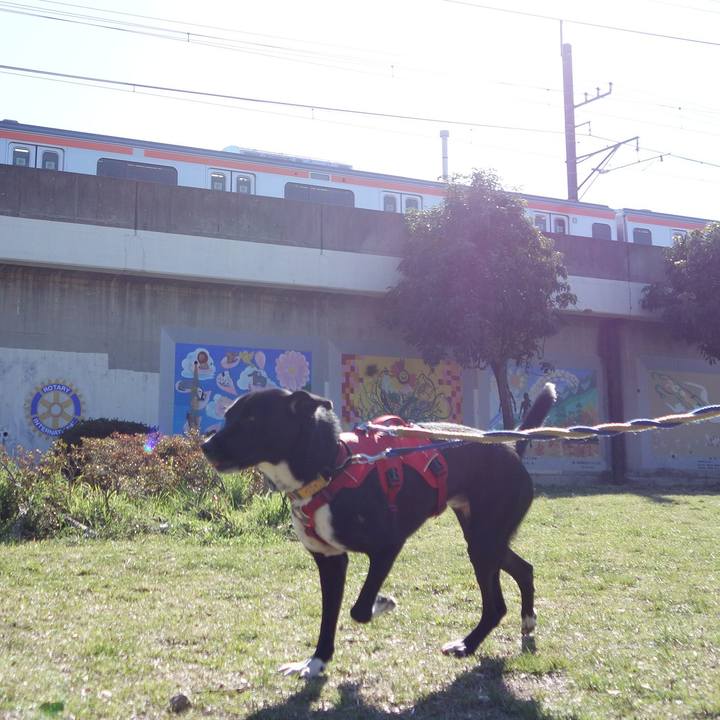 8994b5a7 775d 4b77 b977 40df0f7c9057 1585095498080