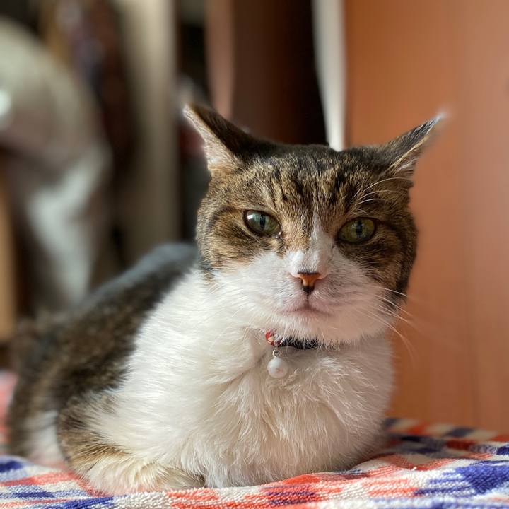 8994bc46 e47f 4596 8a73 4c174d1cd194 1635039890680