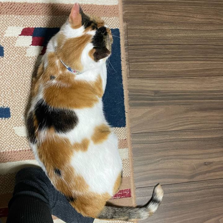 8994de98 2901 48c7 9b34 8a71c6550ace 1718894602739