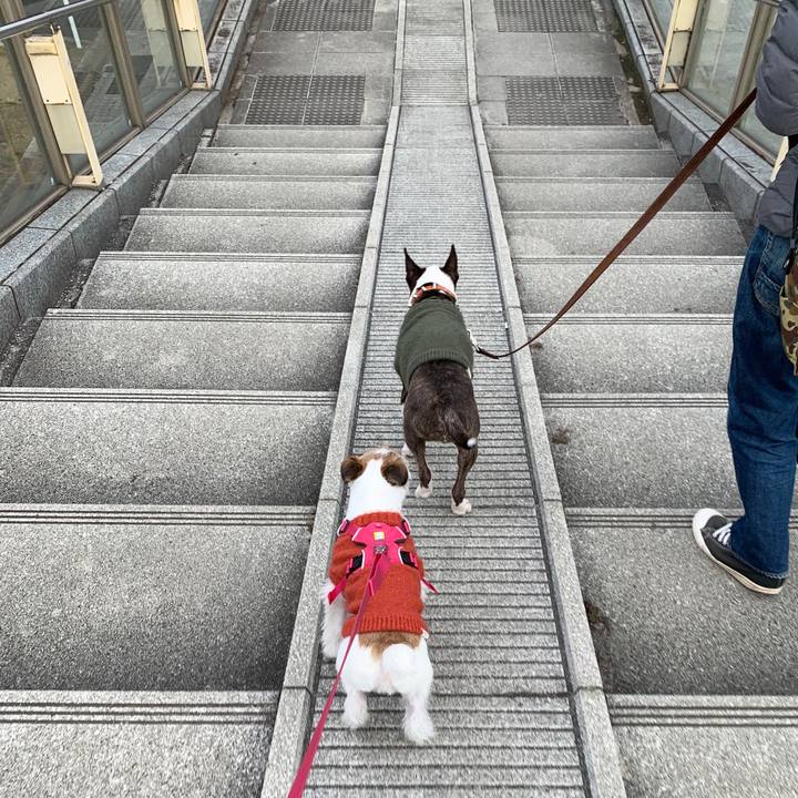 8994e576 2924 4921 b6c6 8ee835d27a35 1579964389972