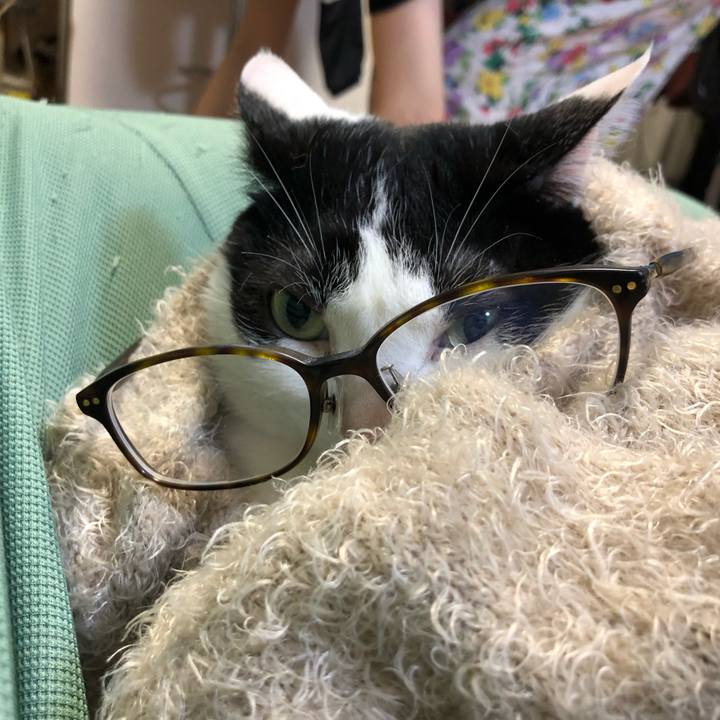 8994ea74 604c 4865 a273 23c52875888b 1591655479422