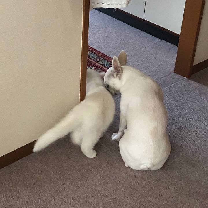 89950c32 f196 430c 9b20 a13f1ba0560d 1558269944882