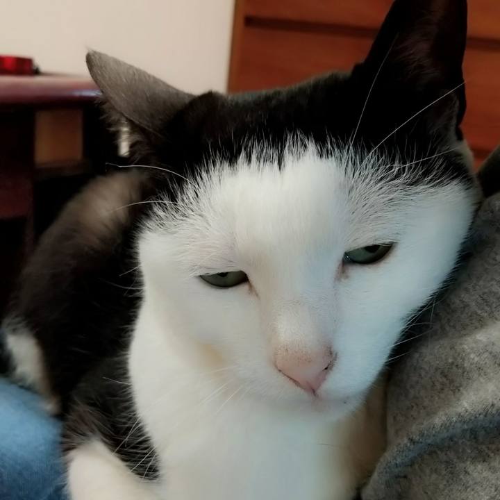 899519ad cfd0 4f48 a6c6 7df1c7978660 1624236048480