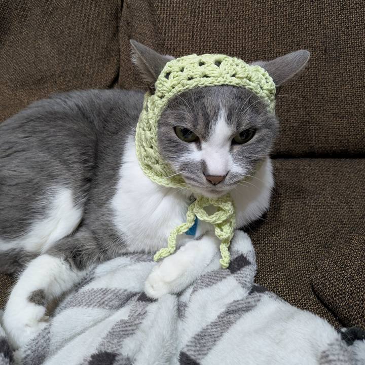 89953069 dda2 43e2 89f5 c096015ca304 1769248399737