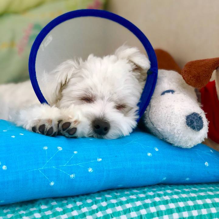 89954eb9 dda6 49a9 ae0f db172c14f745 1527726002853