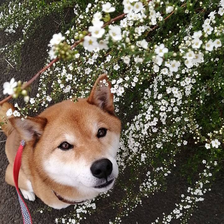 8995ab1a f57f 4a73 a049 b2d21ee36ca1 1584075724397