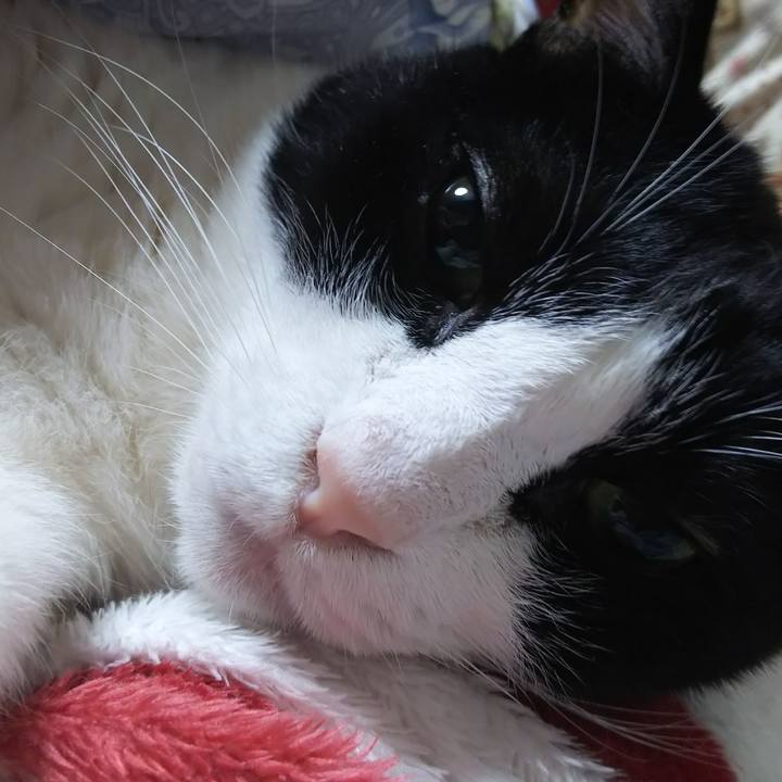 8995bae3 26e8 4b31 b459 53e0d0dc9f0b 1574951055349