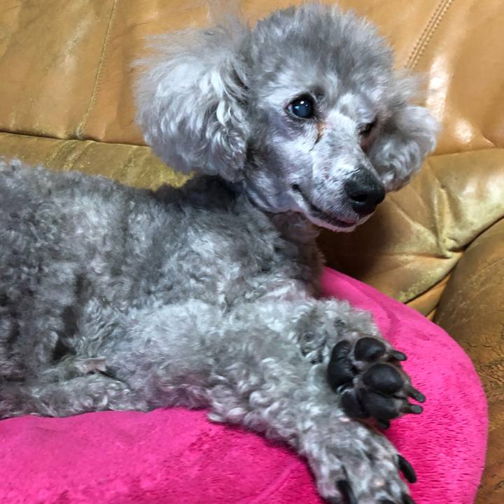 8995d213 eab8 4449 8aec b075b262352c 1613034421647