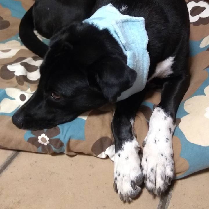 8995e103 8fc2 4a46 aea9 b117f8cdee03 1599041750409