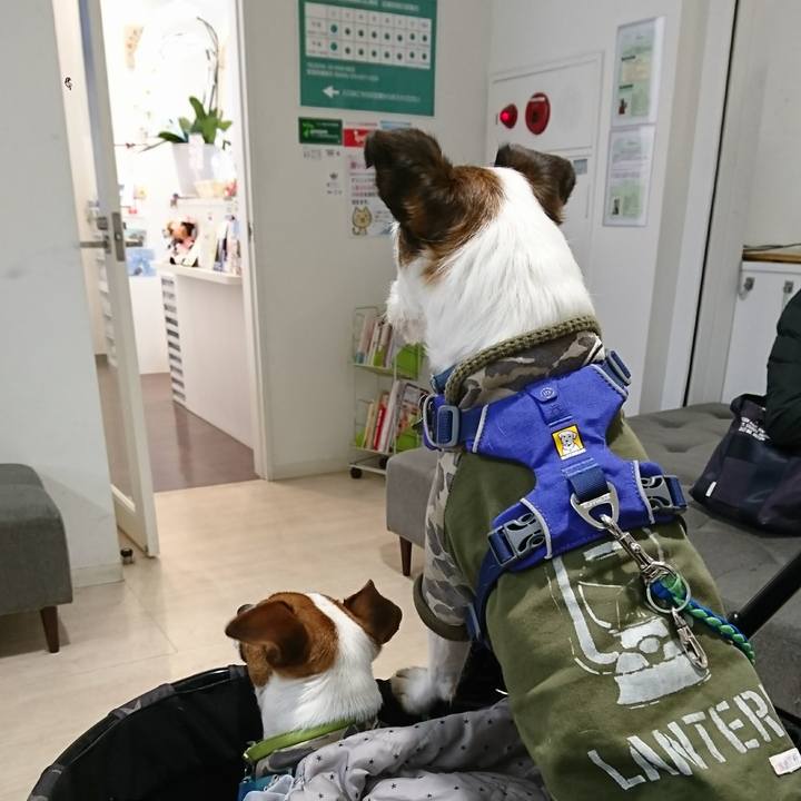 8995e220 de35 48f9 912f 493b55c55a31 1611976689705