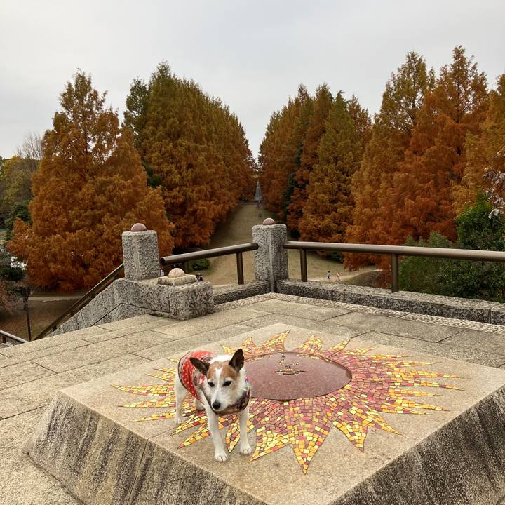 8995f60f d940 42ba bc36 2edffebef90f 1701213845077