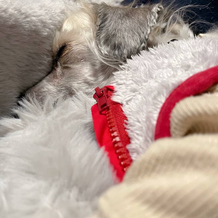 8995fdee 09f3 4719 9c21 7b43ecaafb95 1763895576446