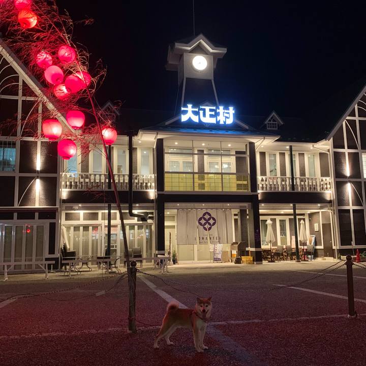 8996176f 5a9b 4ca1 9366 04fa31a63181 1626435417735