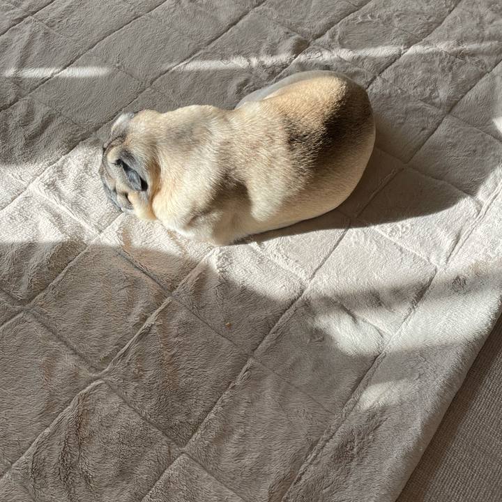 899622b3 ee0a 4981 ae0e d67828b92f12 1619096961481