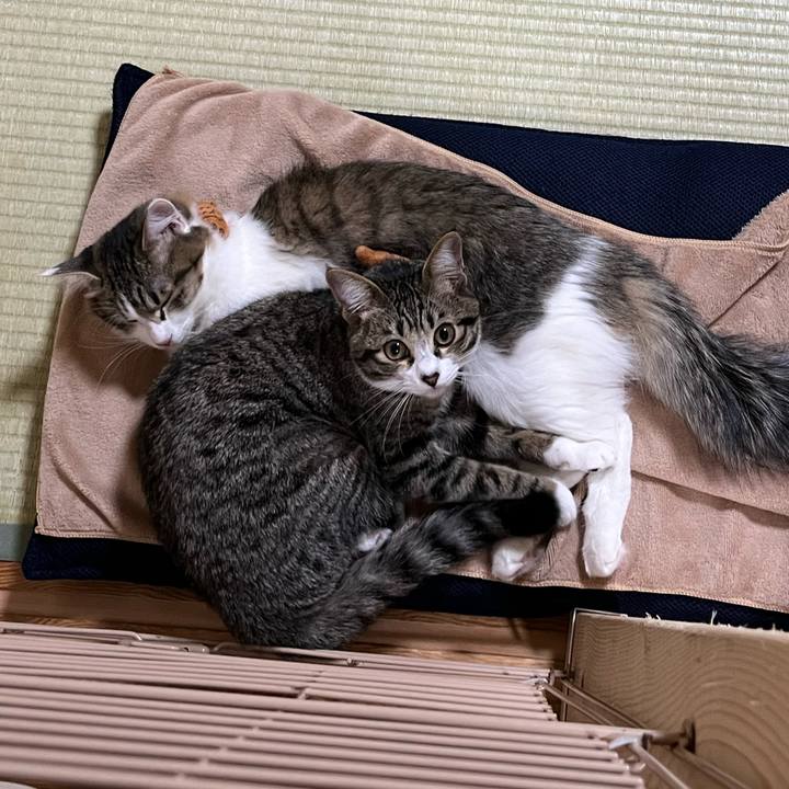 89964139 97f3 46b0 9615 b4395ab2b384 1700907427824