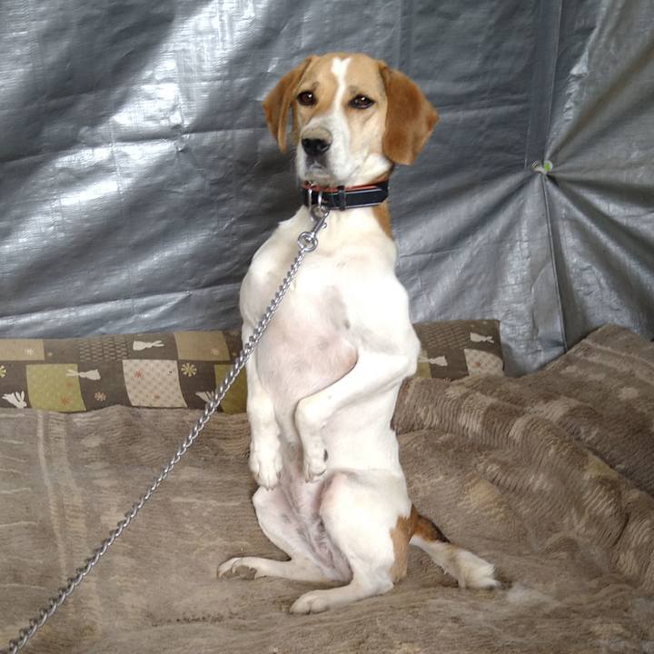 8996ac8b 0800 4d7f b5d0 6a84a3502645 1625110119985