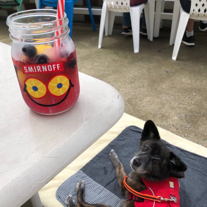 8996bd10 e9a7 407a a00f 8b1841045a72 1621322079000