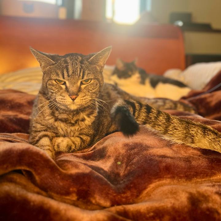 8996d1fd cd8a 4ed9 883f 3c11d2795d60 1762347616686