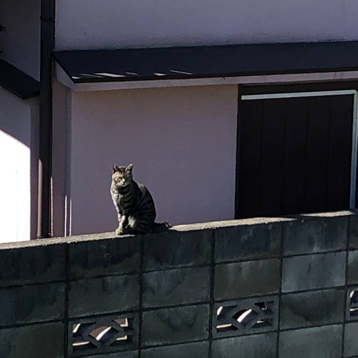 8996d98d 277a 41d6 a181 e0e63c61a97e 1617092359587