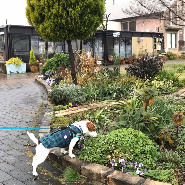 89971f97 4301 4dac bbd8 2a2bd84cac8c 1582959740858