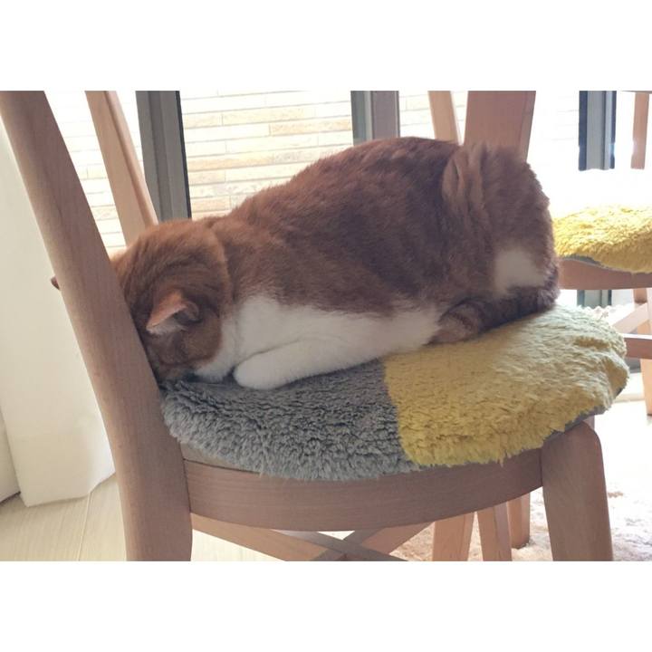 89972b51 e1ec 4e78 8e74 3605bfa8fd92 1592963615182