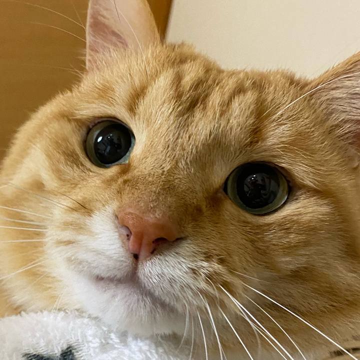 89973058 022b 4bc0 af12 f7466fdc70a1 1607760041160