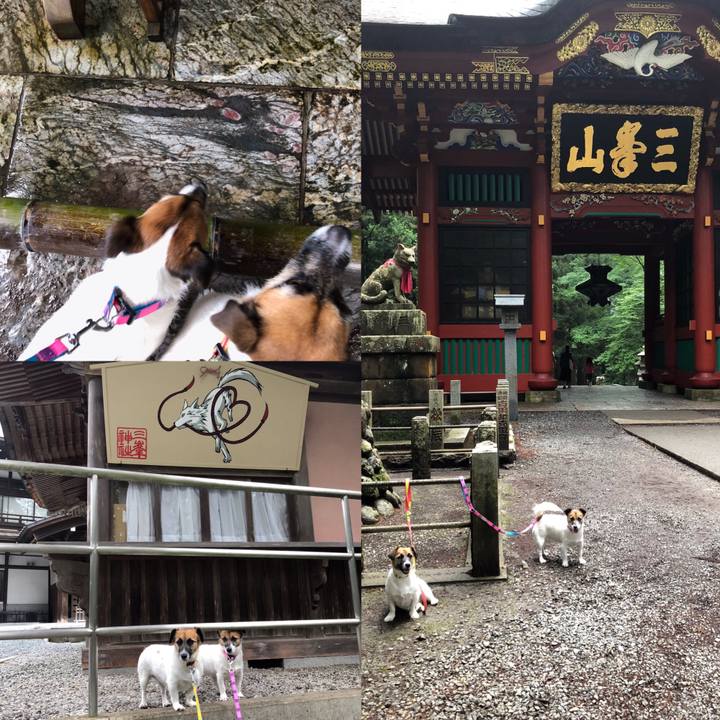 8997445e a455 46a0 b4df 1213631630a7 1561885298747