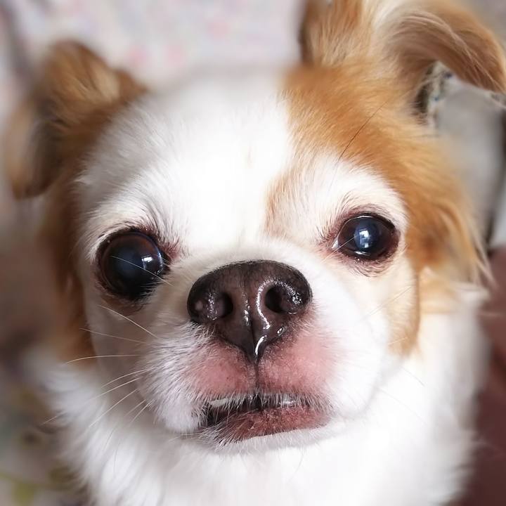 8997791c 6d1e 4555 837a 547a773ed124 1581650682498