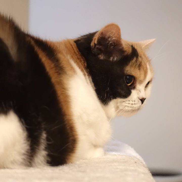 89978365 28f5 4ae3 b294 4728e1da3ace 1557105551437