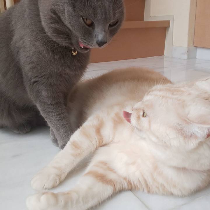 8997960b e1a4 4e9a 9370 cd34022ee717 1564448293596