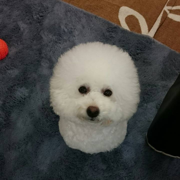 8997a546 35b0 449b 81b3 a3885324434e 1519642525608