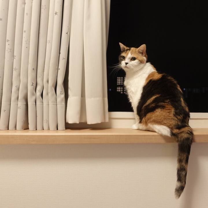 8997ba85 5d5d 455e a06a 33761ec46b85 1570206852179