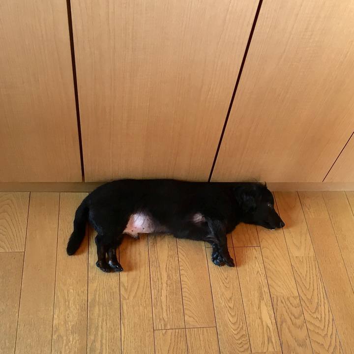 8997ce7e a8fc 4e0b 94b8 ea1239bcee4a 1528066383393