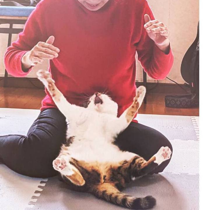 8997dc35 ee48 4296 8306 40088c55e443 1667871306334