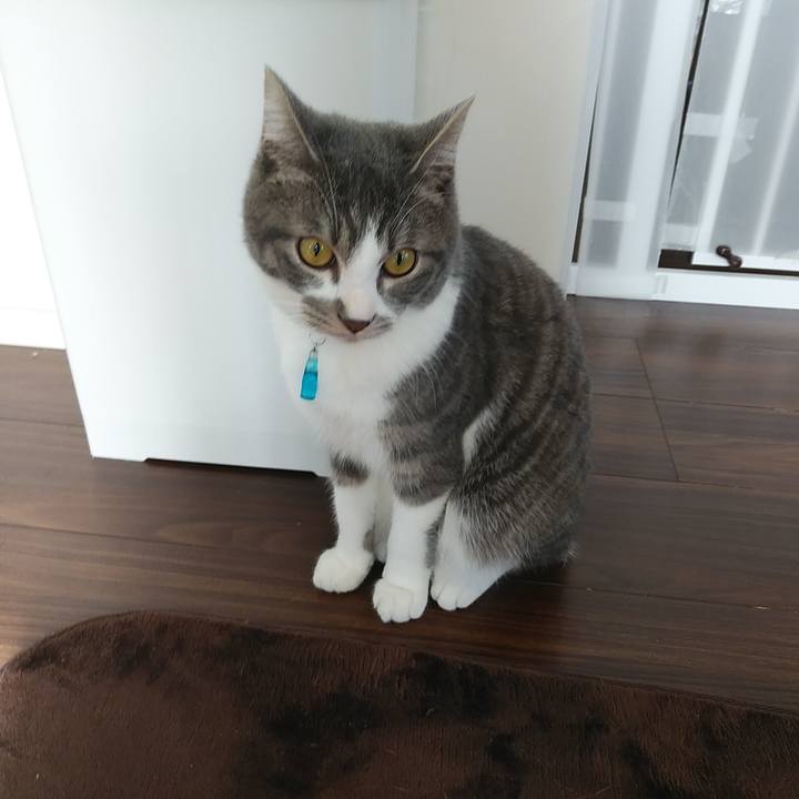 8997f5fc 8fd7 492f ba40 4a5890e8e88c 1578622964217