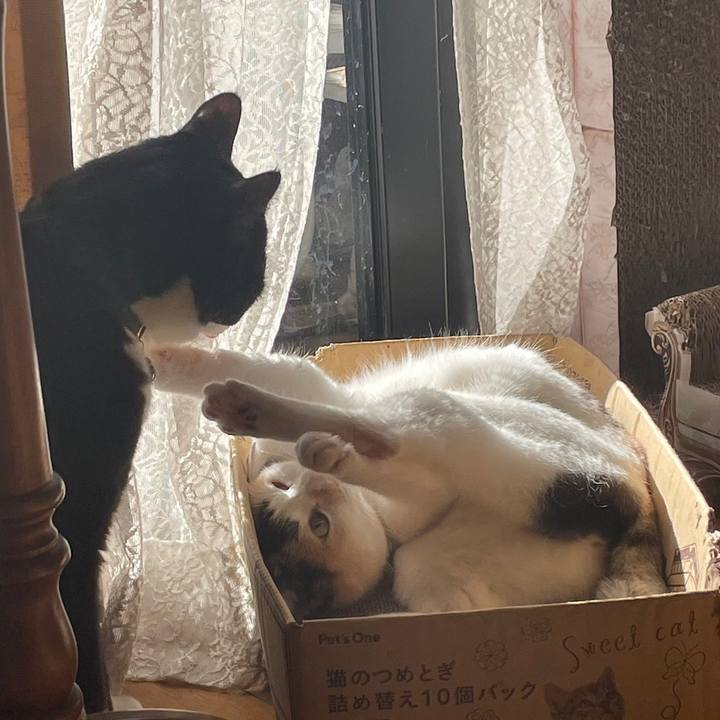 8997fb4a e455 40ce b58d e70e8cbb5fe5 1706345092586