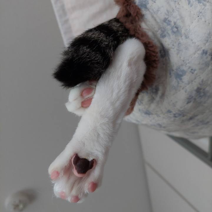 8998127b 7fb8 444b bb24 100fe71aadc0 1749160346250