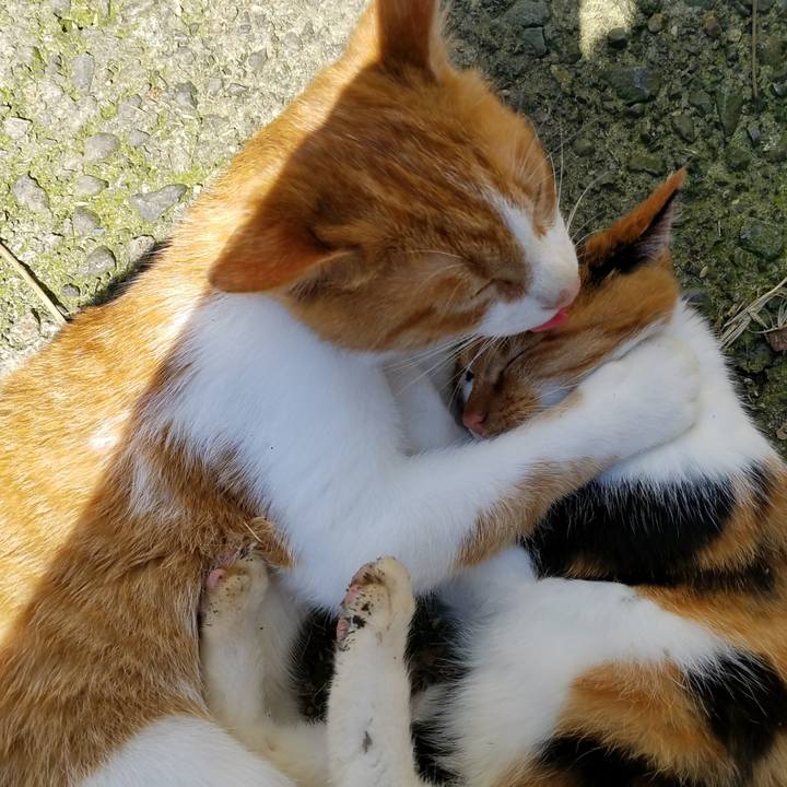 899835eb df59 40d9 bc42 94d9006c0559 1510028479005