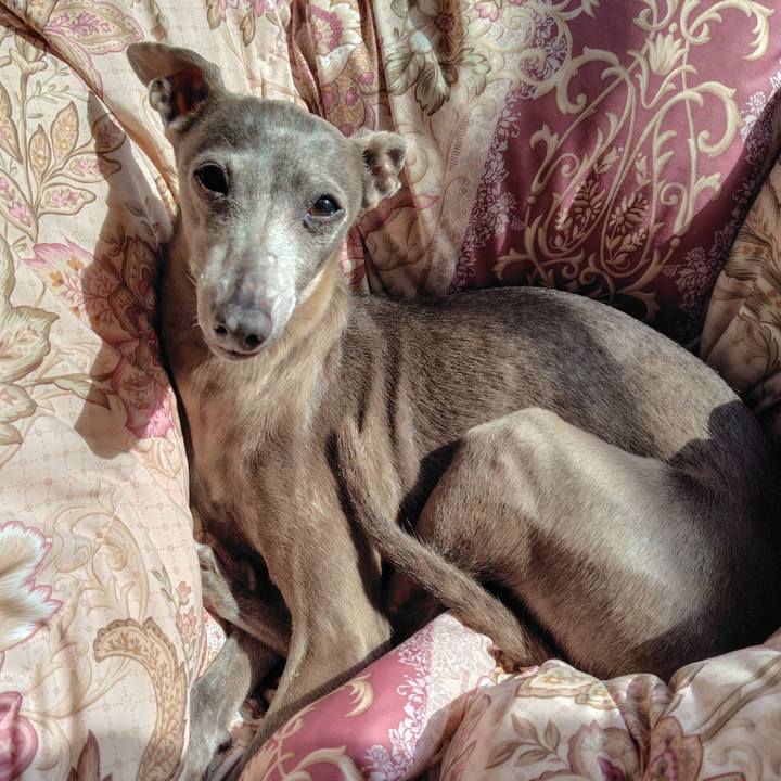 89985e18 7a93 48a1 81ec e64d32b10f14 1762502338745