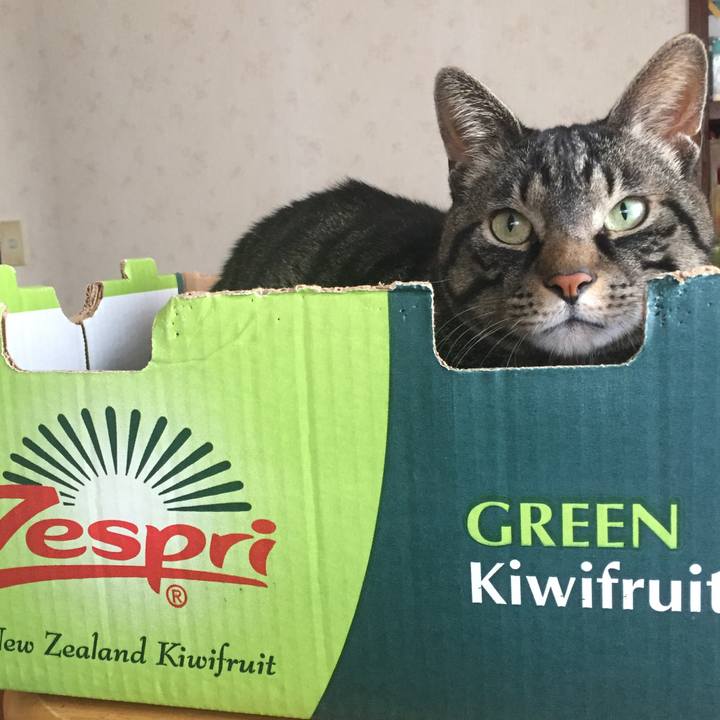 89988f24 f255 4665 9ca0 0bad075d5c71 1519620539585