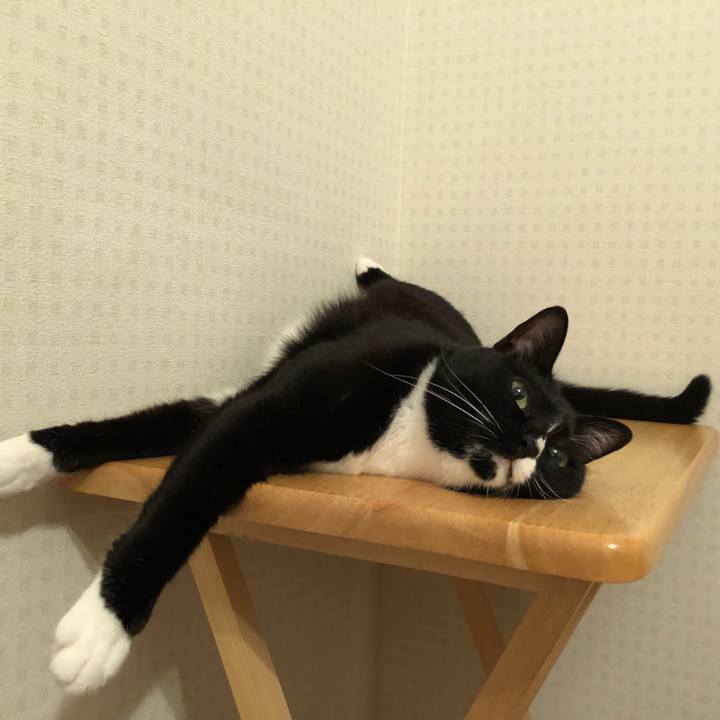 899890ed d88b 4963 8723 ea5c6ac1d54b 1530309218968