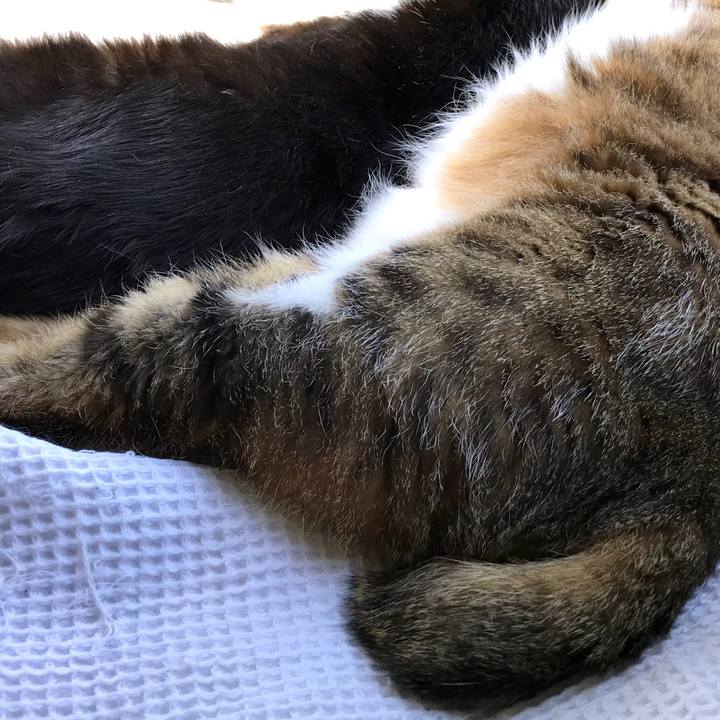 8998dde5 9c8d 49ec a86c c21ae17751ee 1560823273187