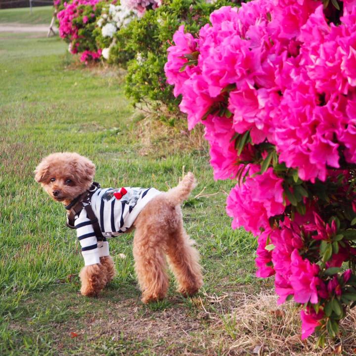 8998e7c9 1489 494d 9bbd 0dd5af92991a 1524573519386