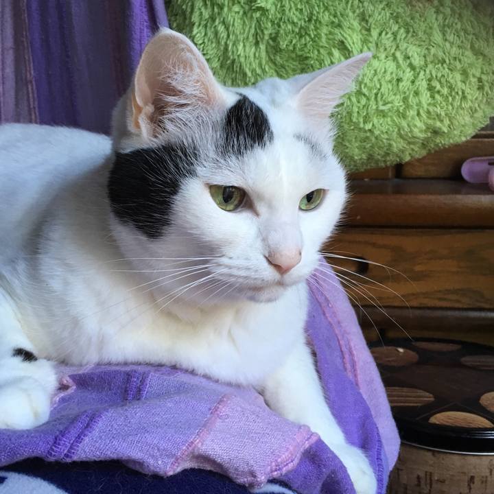 8998f2ce 04cc 4be4 83ec adf12aa7a07d 1569901603878