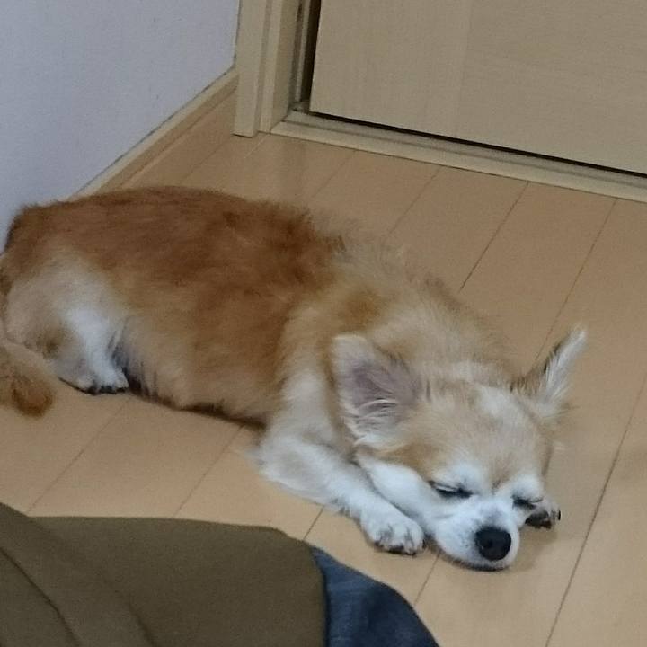 899905ac 4db6 4e9d 8619 45f1b173d9b1 1583417790130