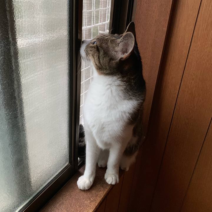 89996adb 880c 47e8 afd1 3c5a790ba340 1570496903943